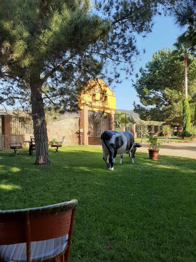 Rancho El Campanario En La Ruta Del Vino Hostel Valle de Guadalupe Exterior photo