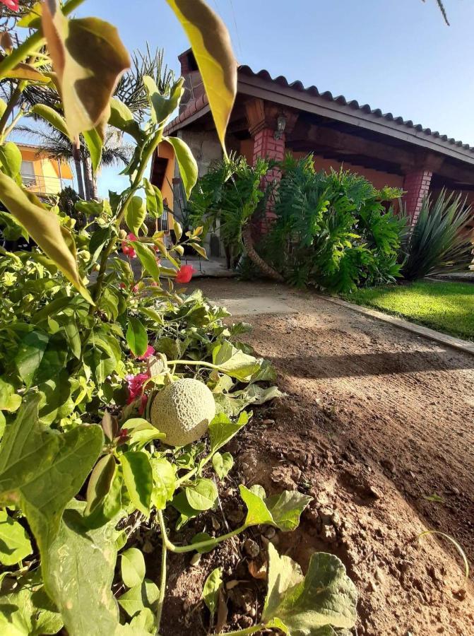 Rancho El Campanario En La Ruta Del Vino Hostel Valle de Guadalupe Exterior photo