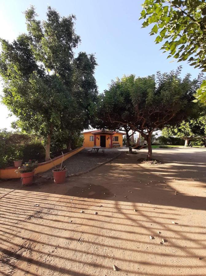 Rancho El Campanario En La Ruta Del Vino Hostel Valle de Guadalupe Exterior photo